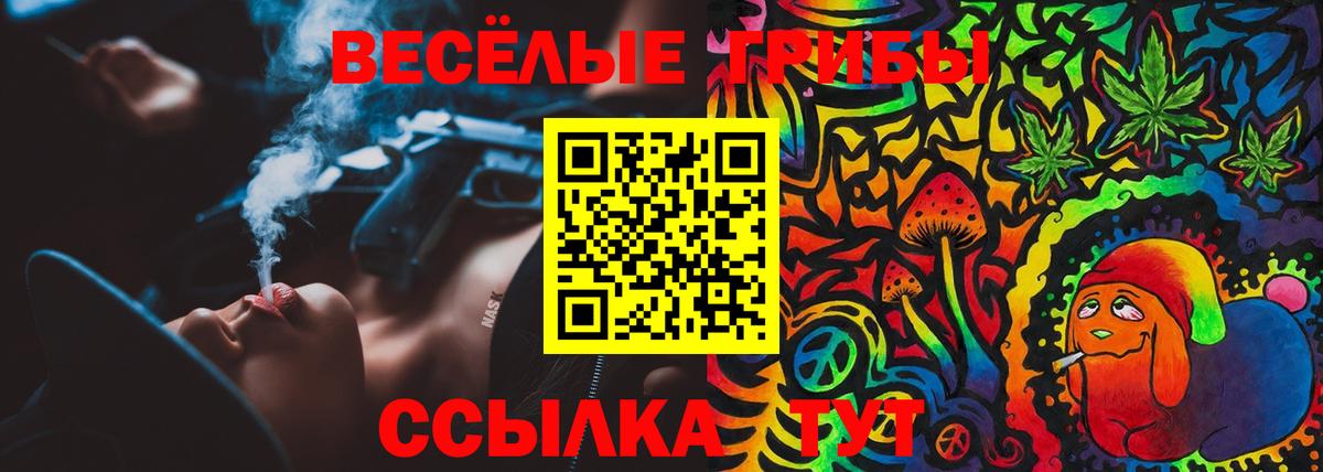 Галлюциногенные грибы мицелий  Вход с VPN  Галлюциногенные грибы мухоморы  Новомосковск 